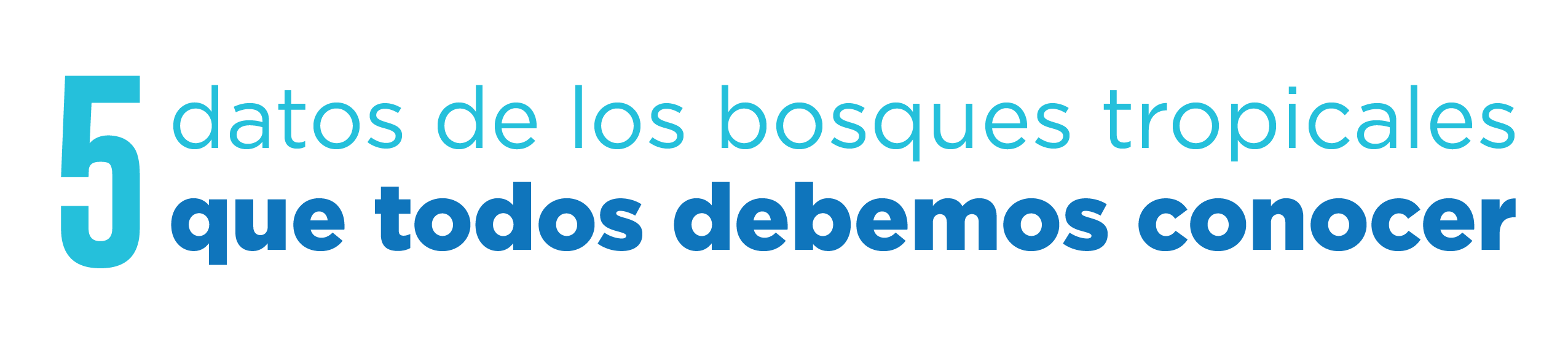 5 datos de los bosques tropicales que todos debemos conocer Blog Río
